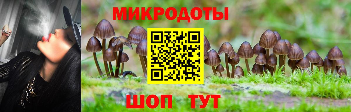 Конаково  Псилоцибиновые грибы GOLDEN TEACHER  Вход с VPN 